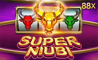 SUPER NIUBI